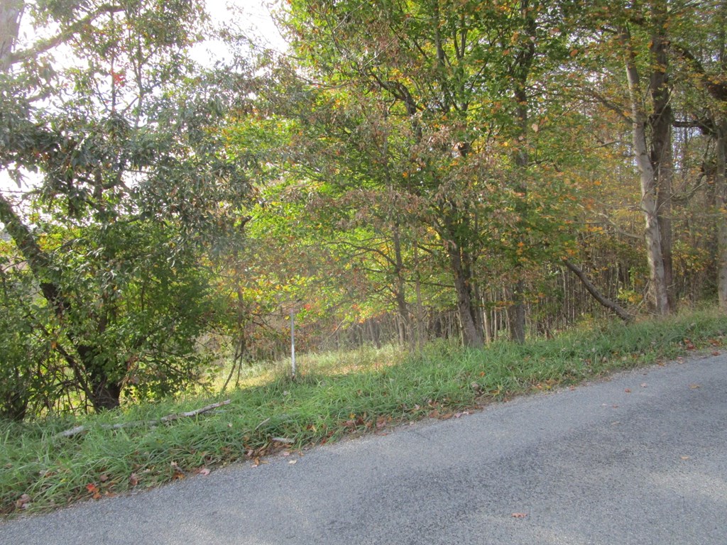 0 South Reidsburg Road Sligo, PA 16255 - Photo 5 of 9