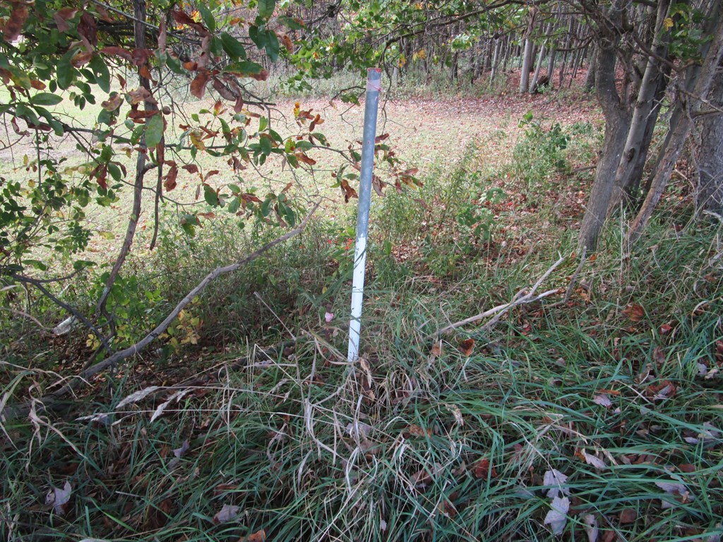 0 South Reidsburg Road Sligo, PA 16255 - Photo 6 of 9