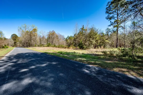 $396,000 | S-15-48 S-15-48 Buckhead Road, Smoaks, SC 29481