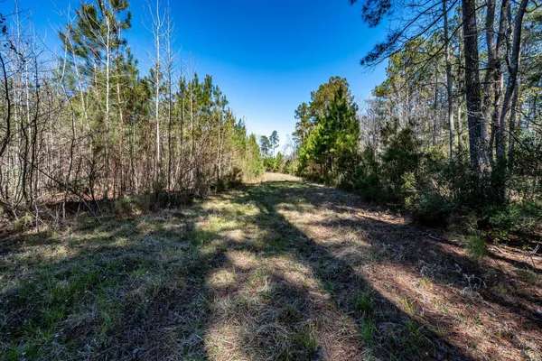 $396,000 | S-15-48 S-15-48 Buckhead Road, Smoaks, SC 29481
