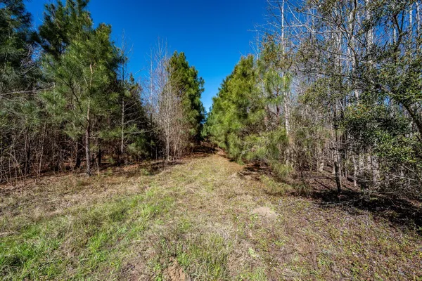 $396,000 | S-15-48 S-15-48 Buckhead Road, Smoaks, SC 29481