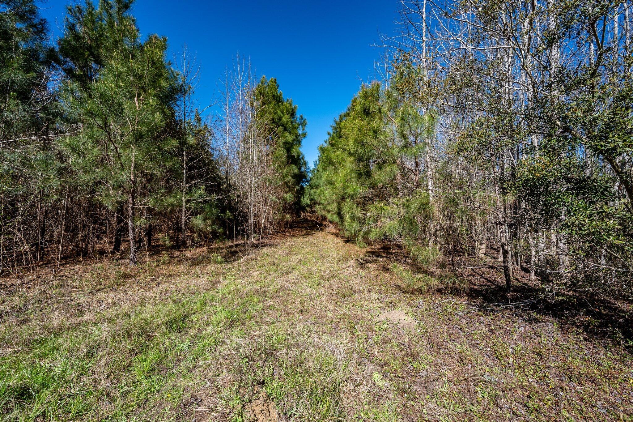 S-15-48 S-15-48 Buckhead Road Smoaks, SC 29481 - Photo 5 of 12 Buckhead_a-32