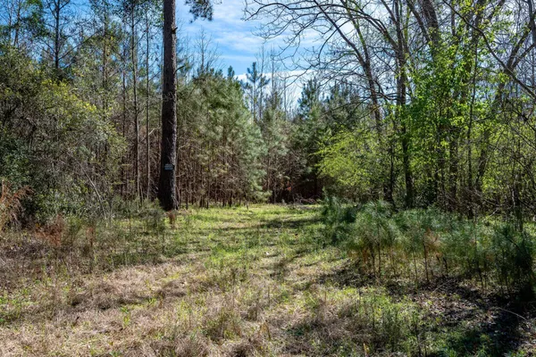 $396,000 | S-15-48 S-15-48 Buckhead Road, Smoaks, SC 29481