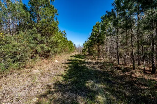 $396,000 | S-15-48 S-15-48 Buckhead Road, Smoaks, SC 29481