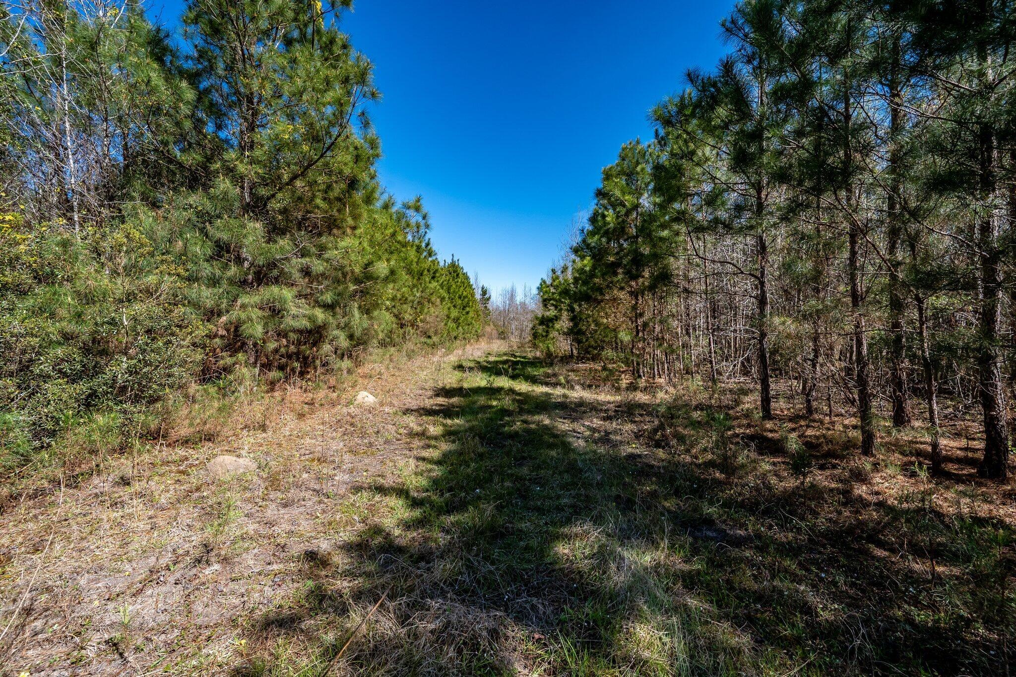 S-15-48 S-15-48 Buckhead Road Smoaks, SC 29481 - Photo 9 of 12 Buckhead_a-33