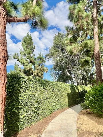 a view of a garden with plants