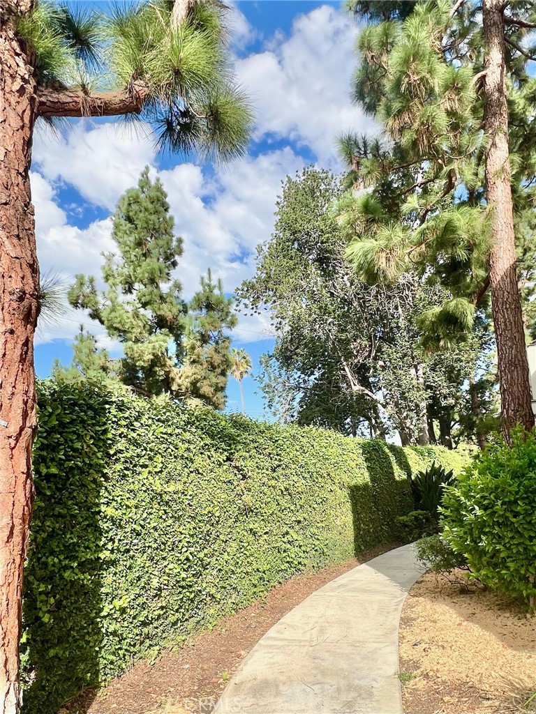 1350 Cabrillo Park Drive, Unit F Santa Ana, CA 92701 - Photo 3 of 32 a view of a garden with plants