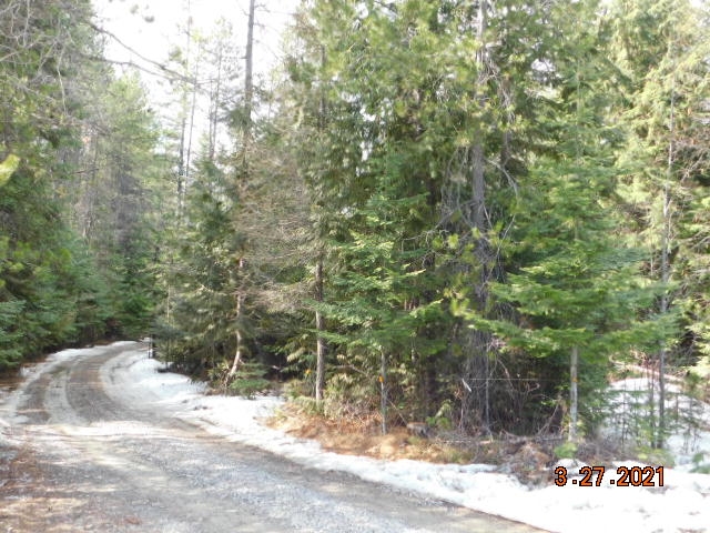 292 Calicoma Road Cusick, WA 99119 - Photo 22 of 25
