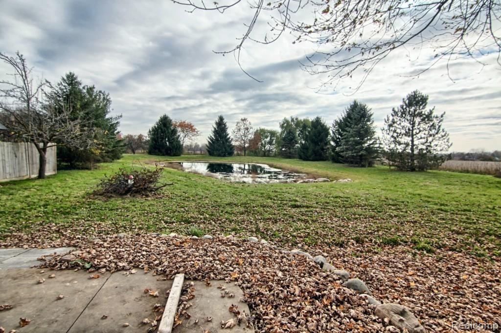 22200 30 Mile Road Ray, MI 48096 - Photo 28 of 31 Backyard.jpg