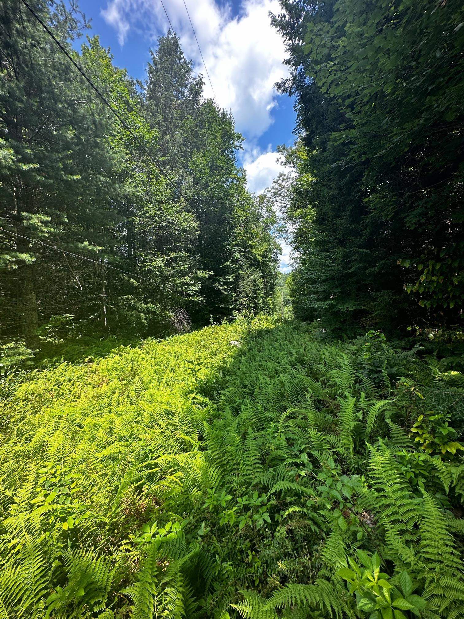 Collins Road South Newfane, VT 05351 - Photo 1 of 14