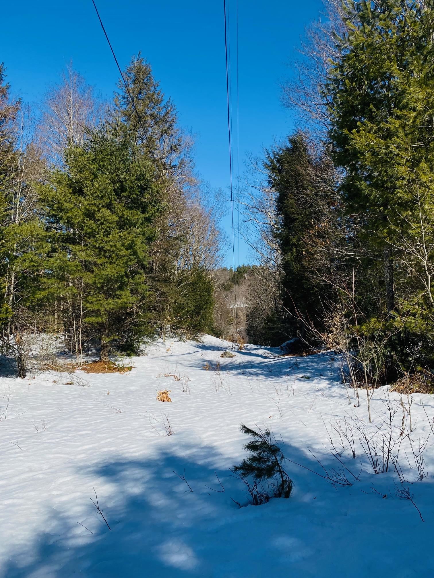 Collins Road South Newfane, VT 05351 - Photo 11 of 14