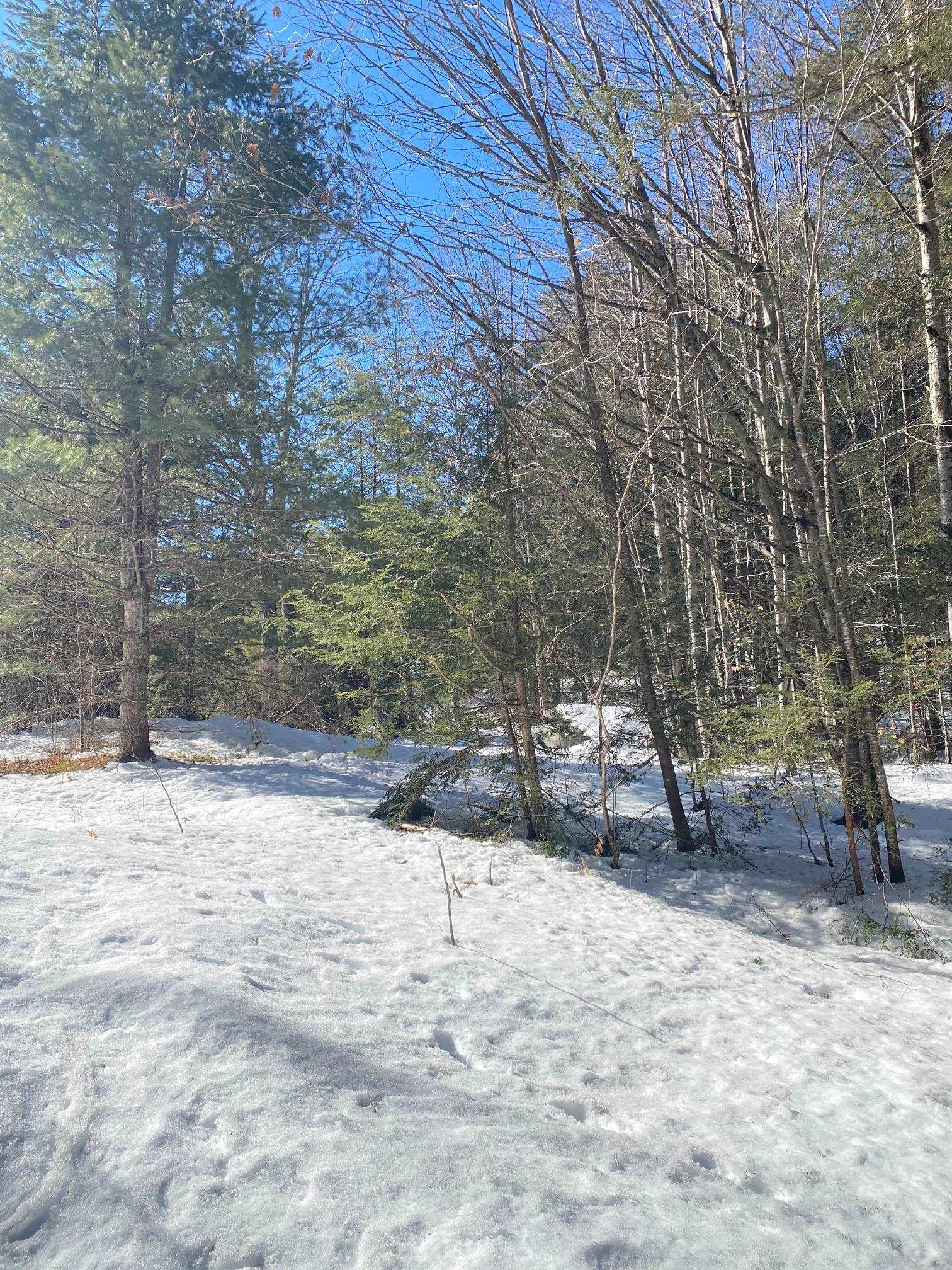 Collins Road South Newfane, VT 05351 - Photo 3 of 14