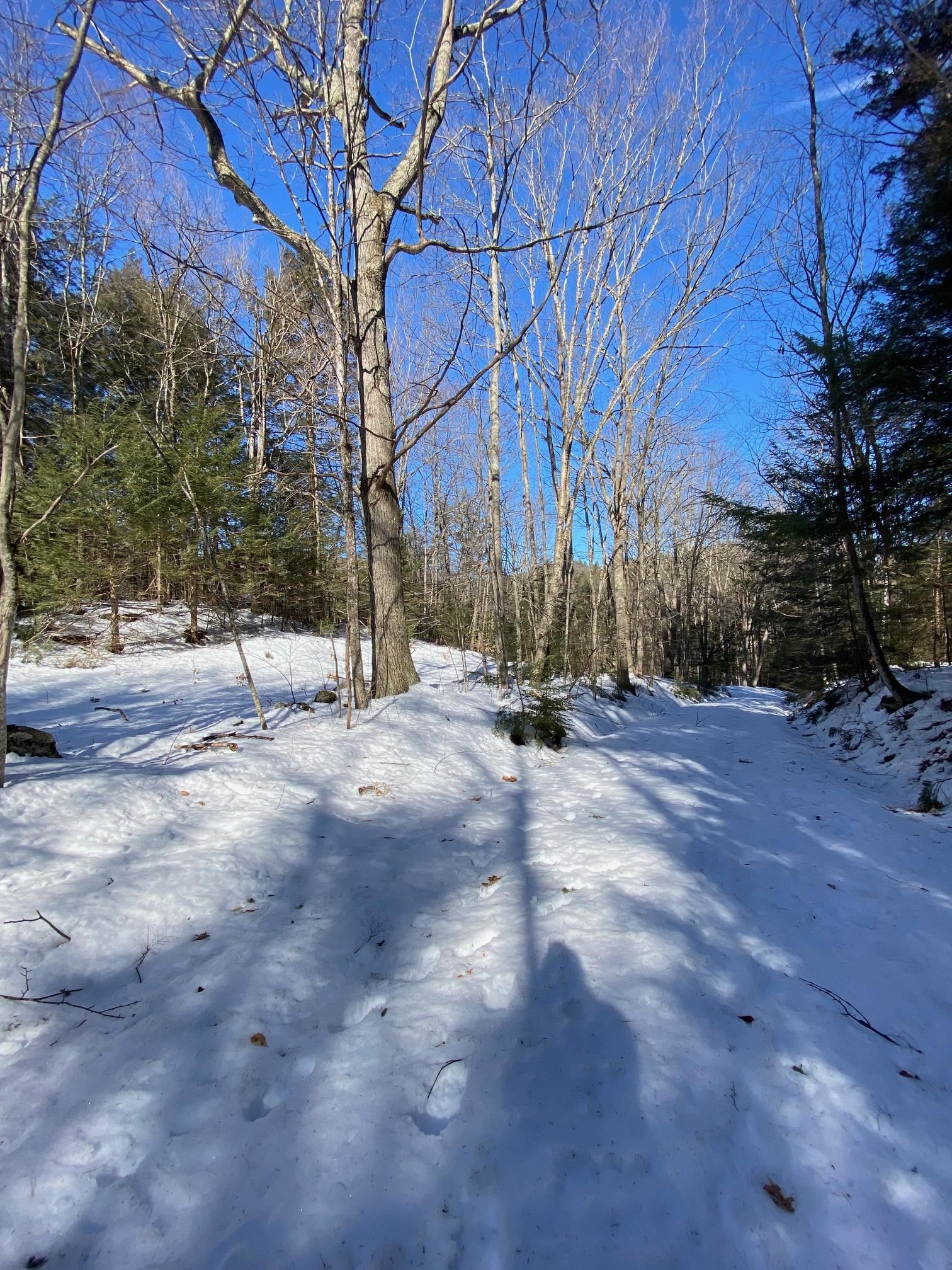 Collins Road South Newfane, VT 05351 - Photo 5 of 14