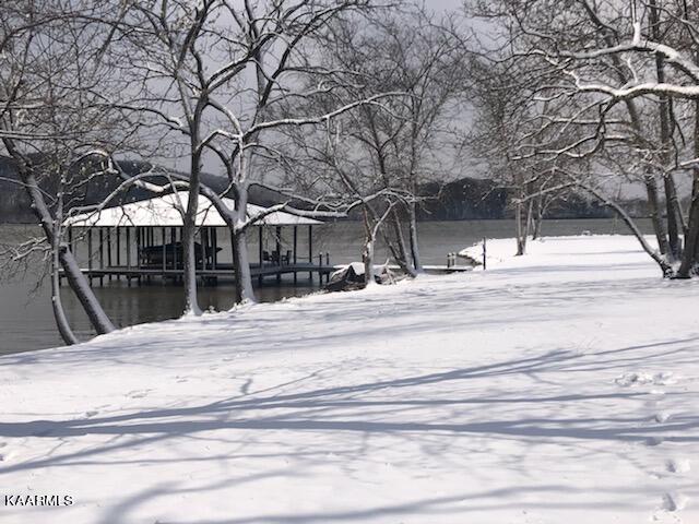 341 Green Acres Road Kingston, TN 37763 - Photo 3 of 57 Dock Winter