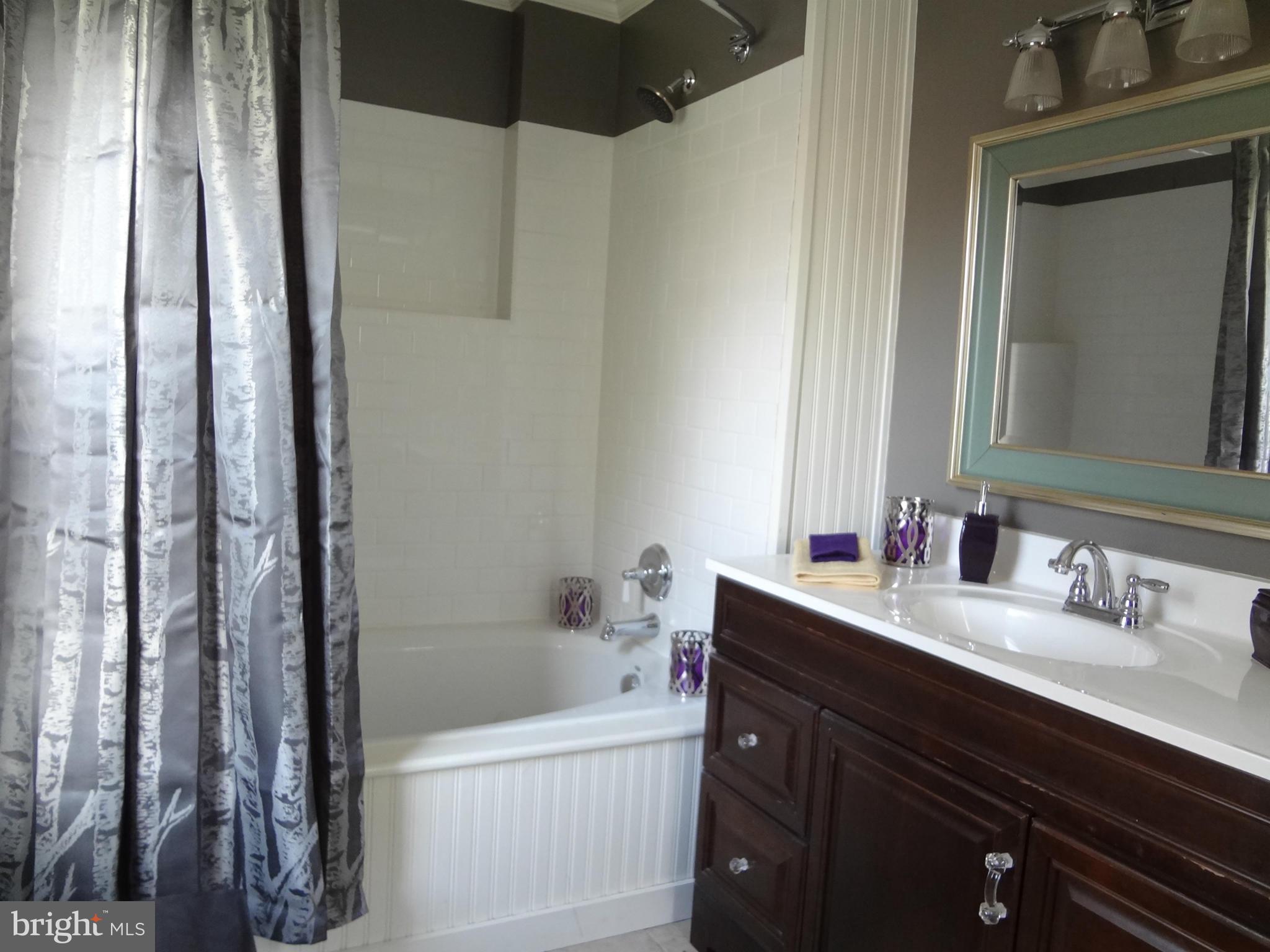13214 Club Road Hagerstown, MD 21742 - Photo 8 of 19 Bath (Master)