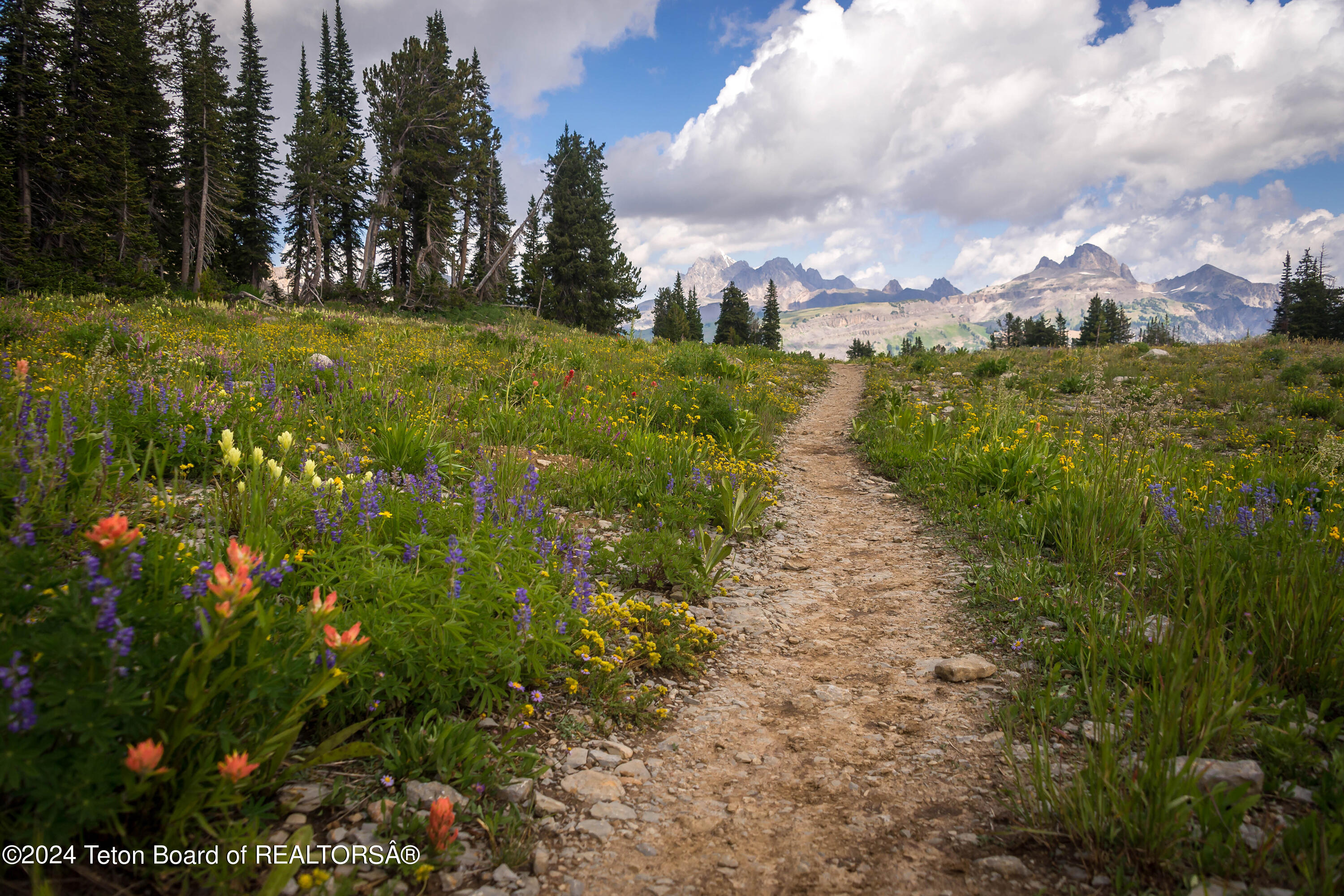 9795 Main Street Kelly, WY 83001 - Photo 21 of 24 Mountain Trail in Gros Ventre Wilderness