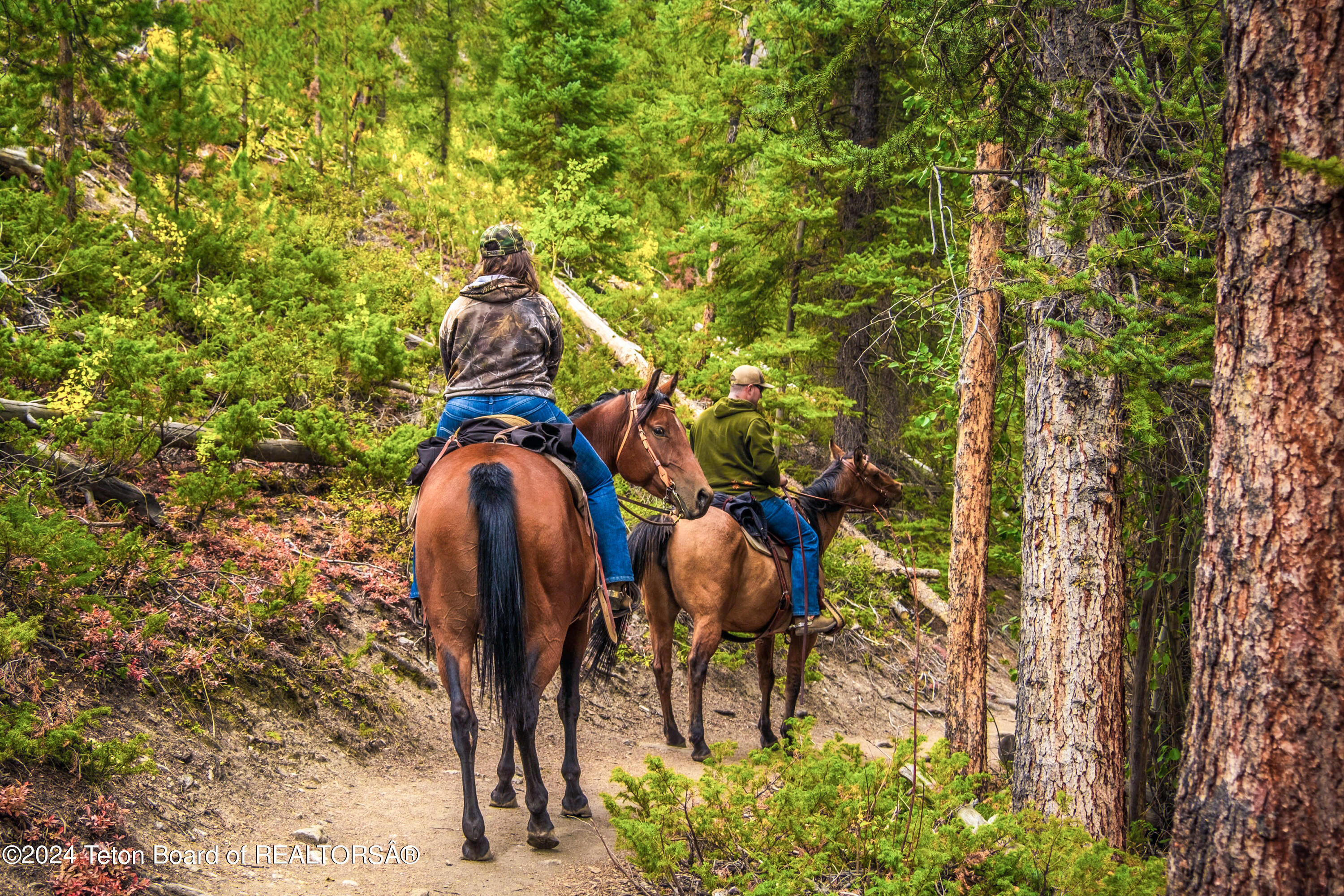 9795 Main Street Kelly, WY 83001 - Photo 23 of 24 Horseback Riding in BTNF