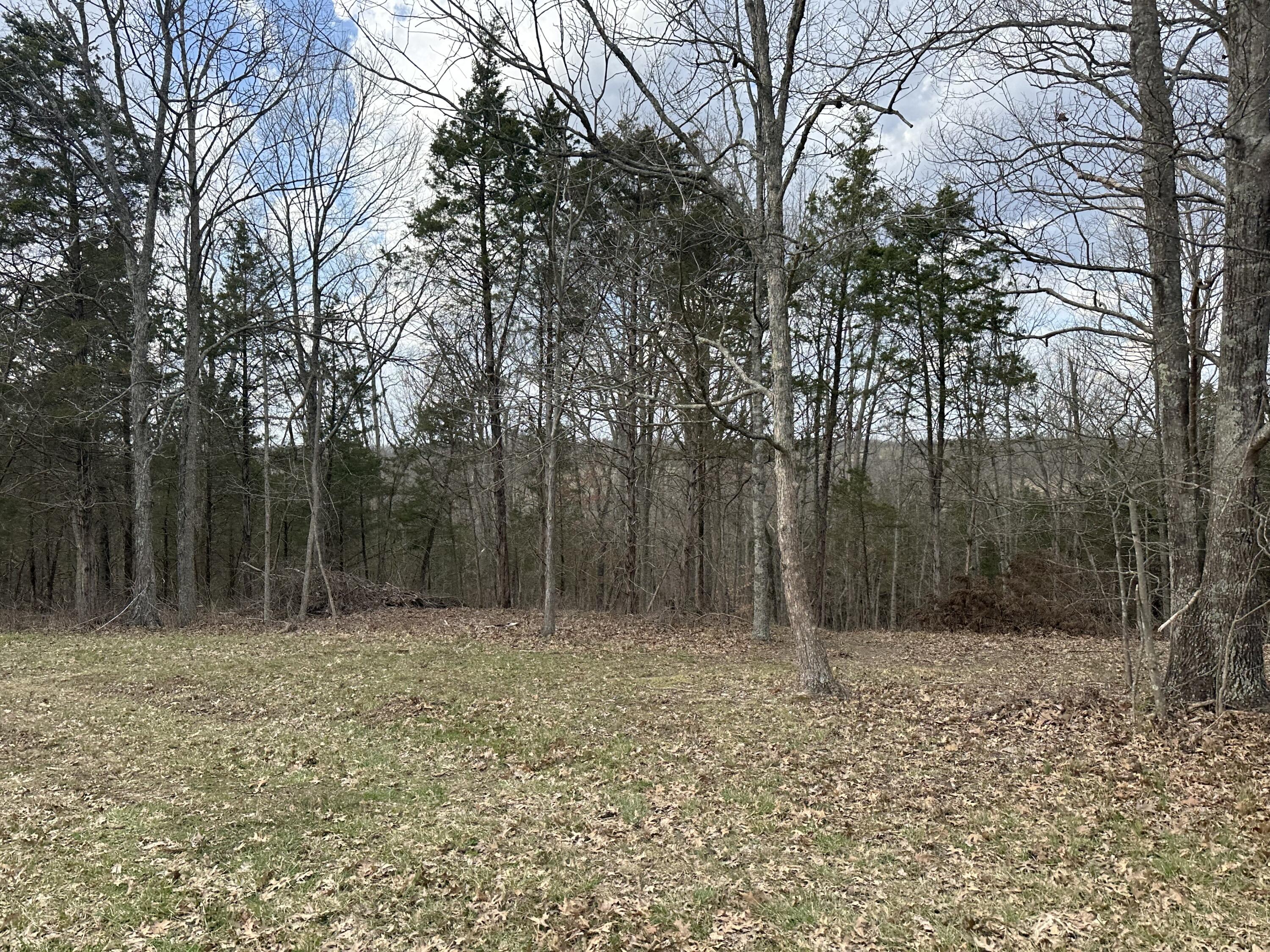 40414243 Fox Trail Road Corinth, KY 41010 - Photo 17 of 25
