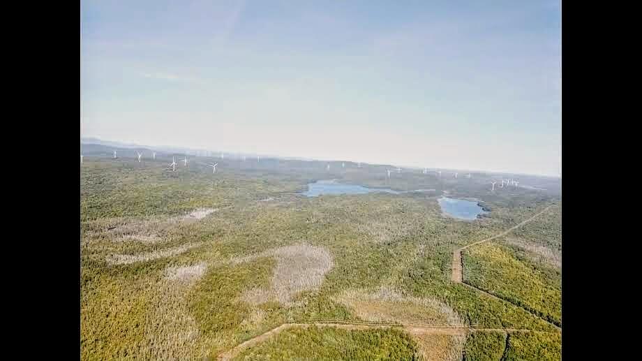 Lot 38.2 Fire Road Houlton, ME 04730 - Photo 8 of 8 dji1631125944178