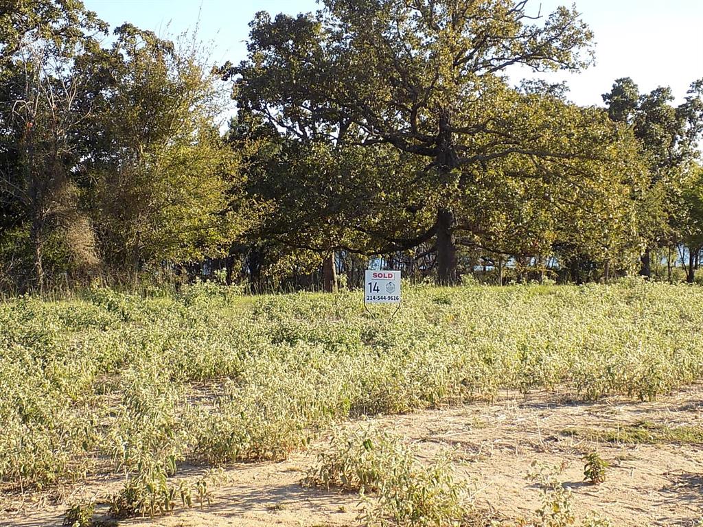 Lot 14 Anglers Point Drive Emory, TX 75440 - Photo 13 of 40 Mature Trees