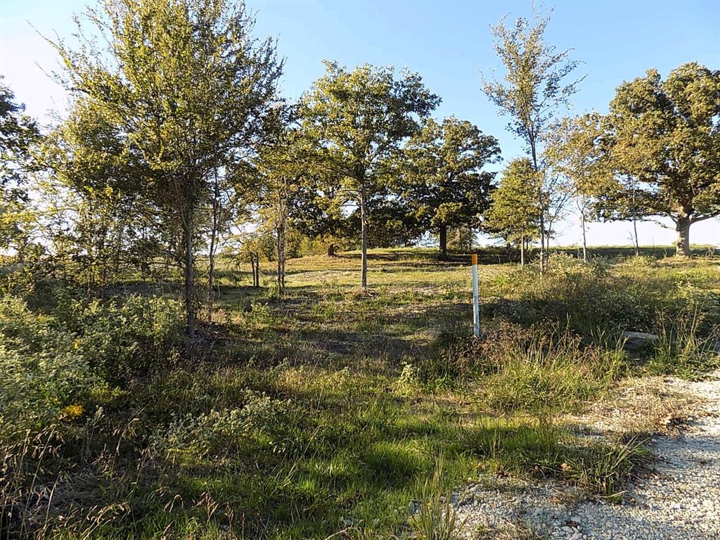 Lot 14 Anglers Point Drive Emory, TX 75440 - Photo 14 of 40 Here's your chance to bld your dream home!