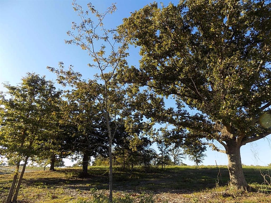 Lot 14 Anglers Point Drive Emory, TX 75440 - Photo 15 of 40