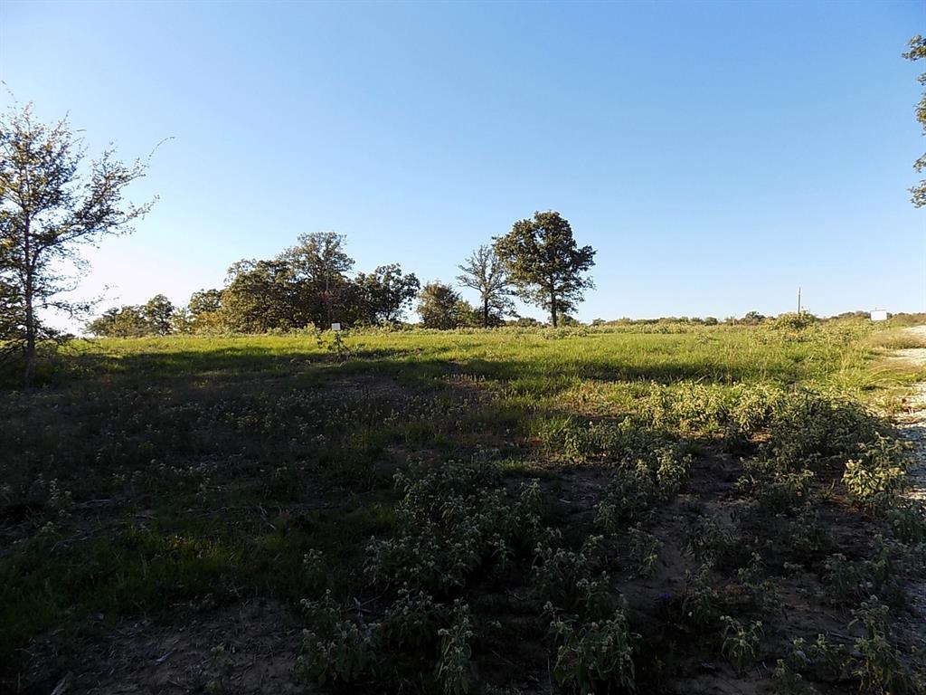 Lot 14 Anglers Point Drive Emory, TX 75440 - Photo 16 of 40