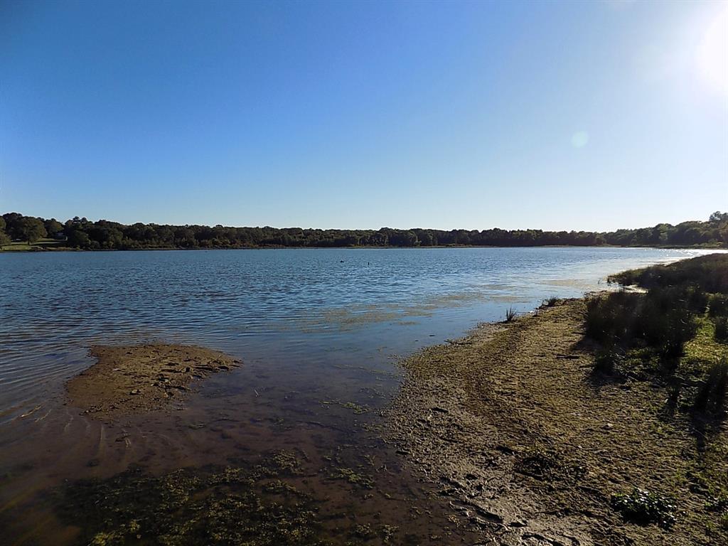 Lot 14 Anglers Point Drive Emory, TX 75440 - Photo 17 of 40 Lake on back side of lot.