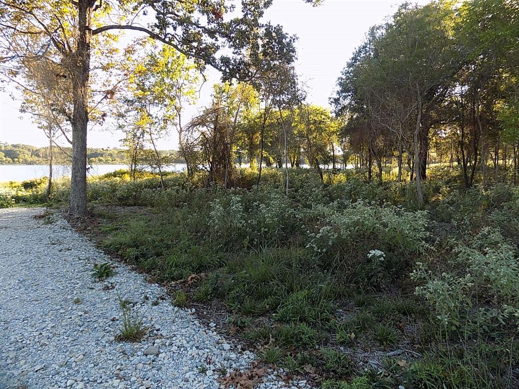 Lot 14 Anglers Point Drive Emory, TX 75440 - Photo 23 of 40 More trees on back side of lot