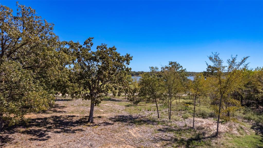 Lot 14 Anglers Point Drive Emory, TX 75440 - Photo 40 of 40