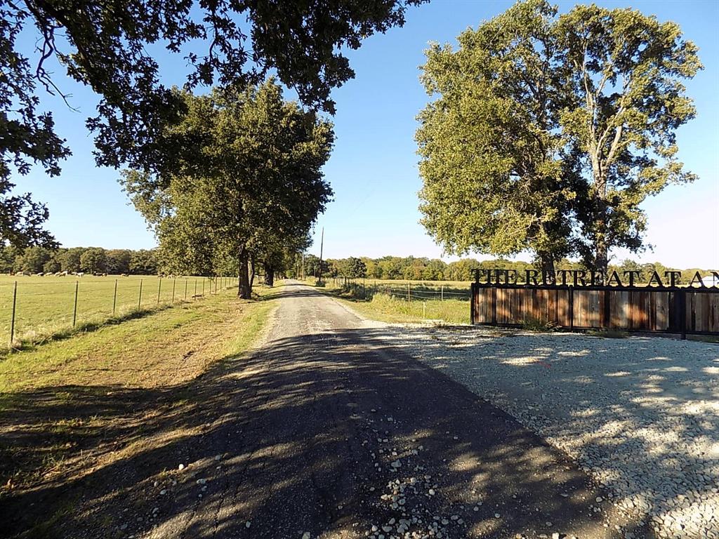Lot 14 Anglers Point Drive Emory, TX 75440 - Photo 4 of 40