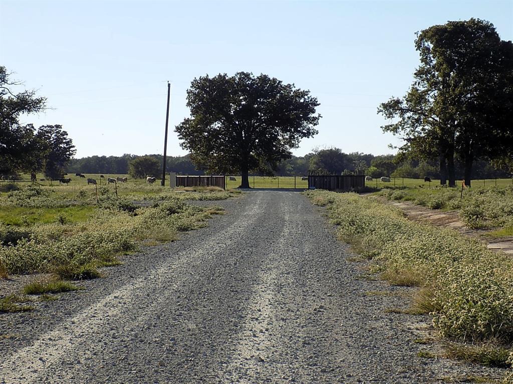 Lot 14 Anglers Point Drive Emory, TX 75440 - Photo 5 of 40