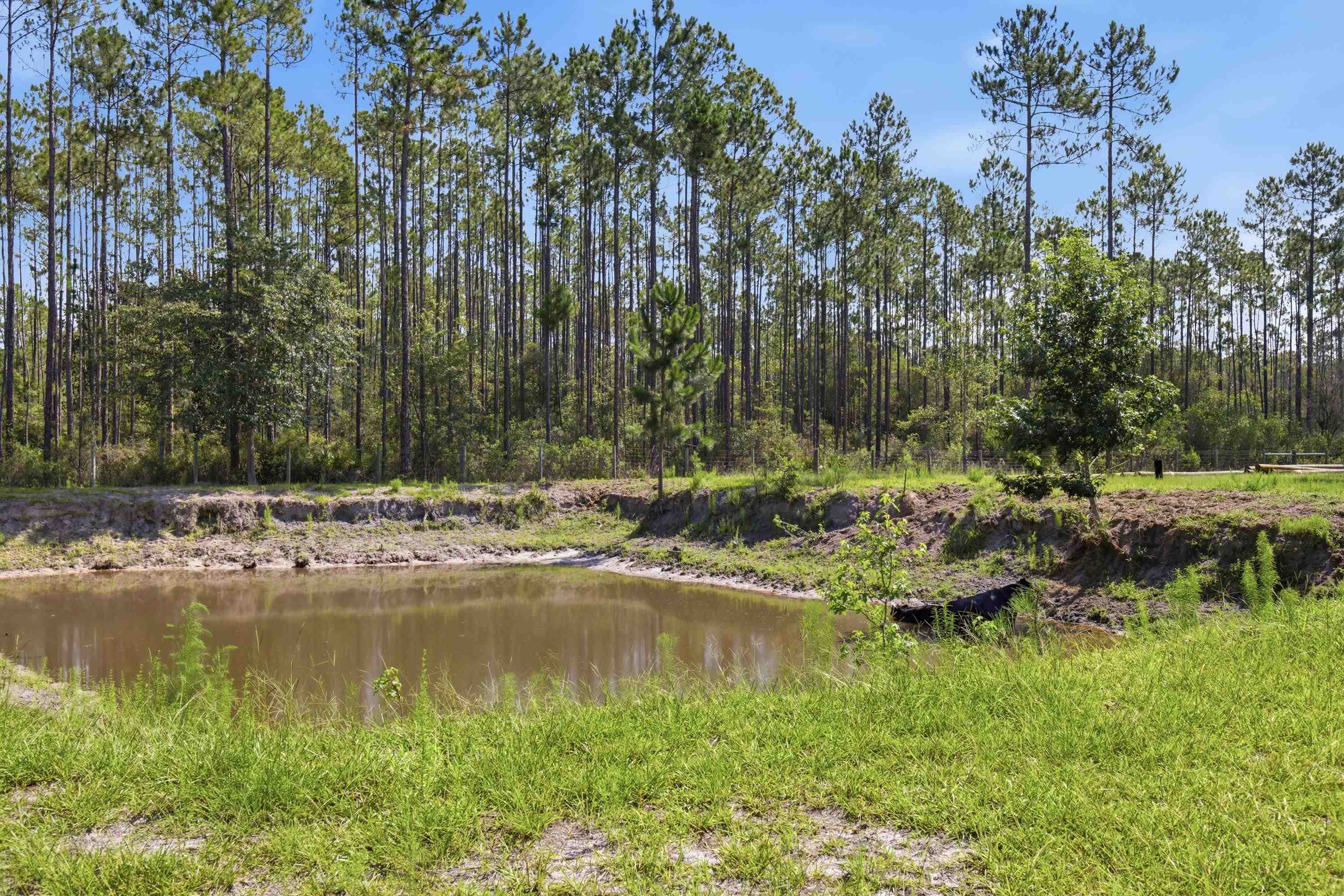2860 Smith Creek Road Sopchoppy, FL 32358 - Photo 62 of 70