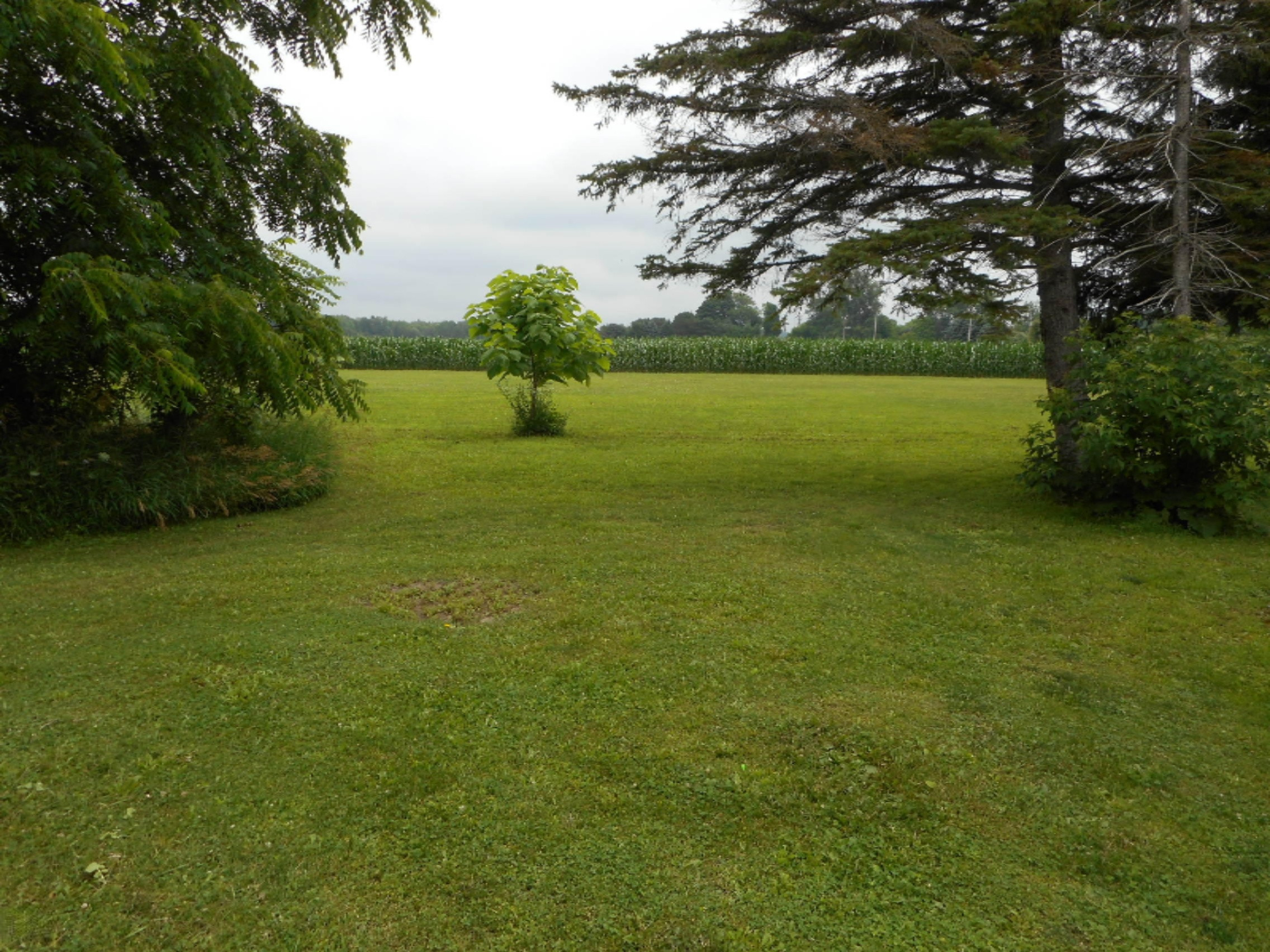 5948 East Hansen Road Fountain, MI 49410 - Photo 23 of 27 DSCN1280