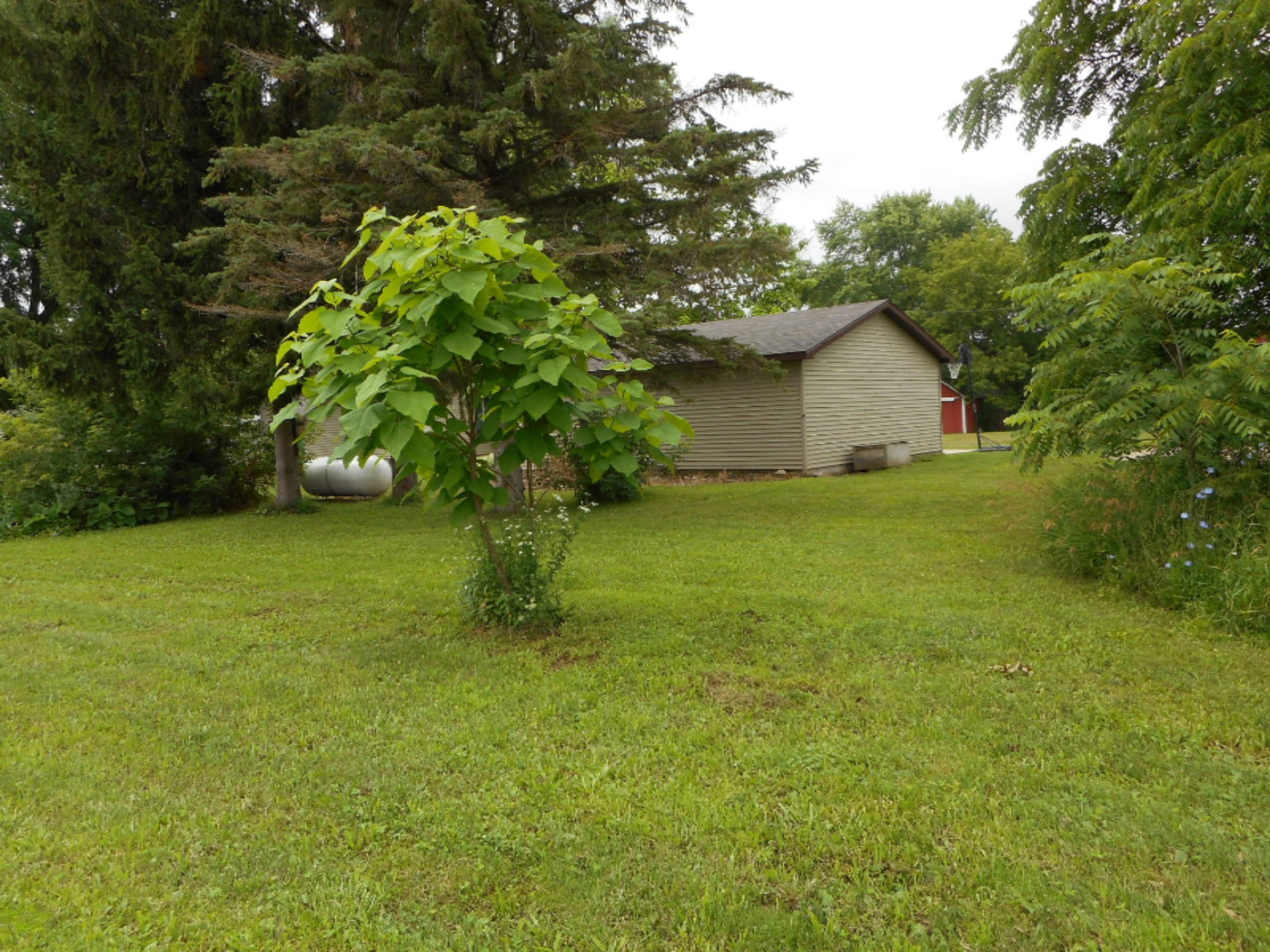 5948 East Hansen Road Fountain, MI 49410 - Photo 25 of 27 DSCN1281