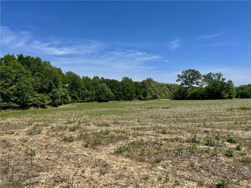 East Colbern Road Lone Jack, MO 64070 - Photo 3 of 13