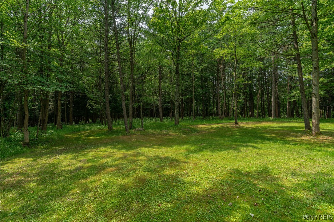 7459 Concord Road Concord, NY 14141 - Photo 34 of 34