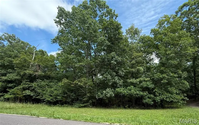 $725,000 | 386 County Road 205, Ironton, MO 63650