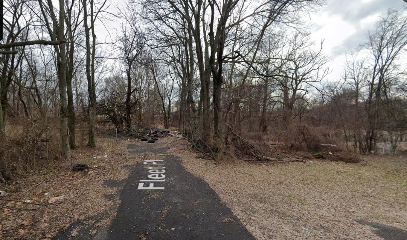 811 Porter Street Memphis, TN 38126 - Photo 1 of 3 a view of a forest with trees