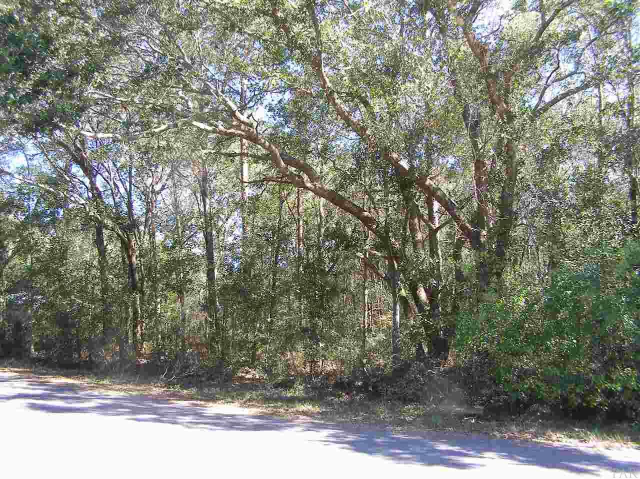 0 Huckleberry Finn Road Milton, FL 32583 - Photo 2 of 2 Gallery Image 2