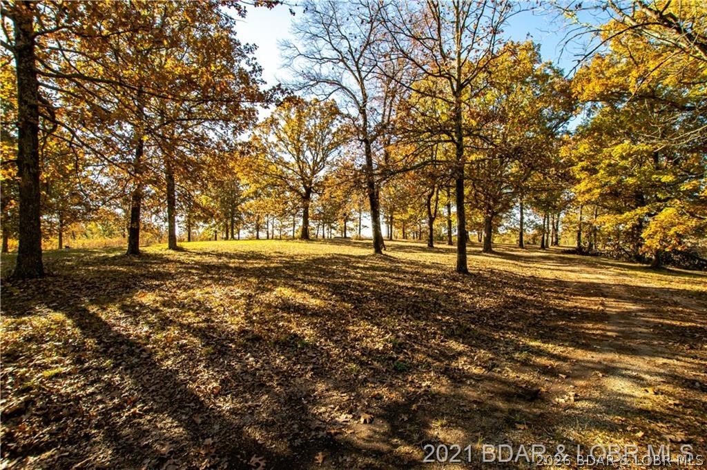 5851 Chapel Bluff Road Macks Creek, MO 65786 - Photo 16 of 19 Gallery Image 16