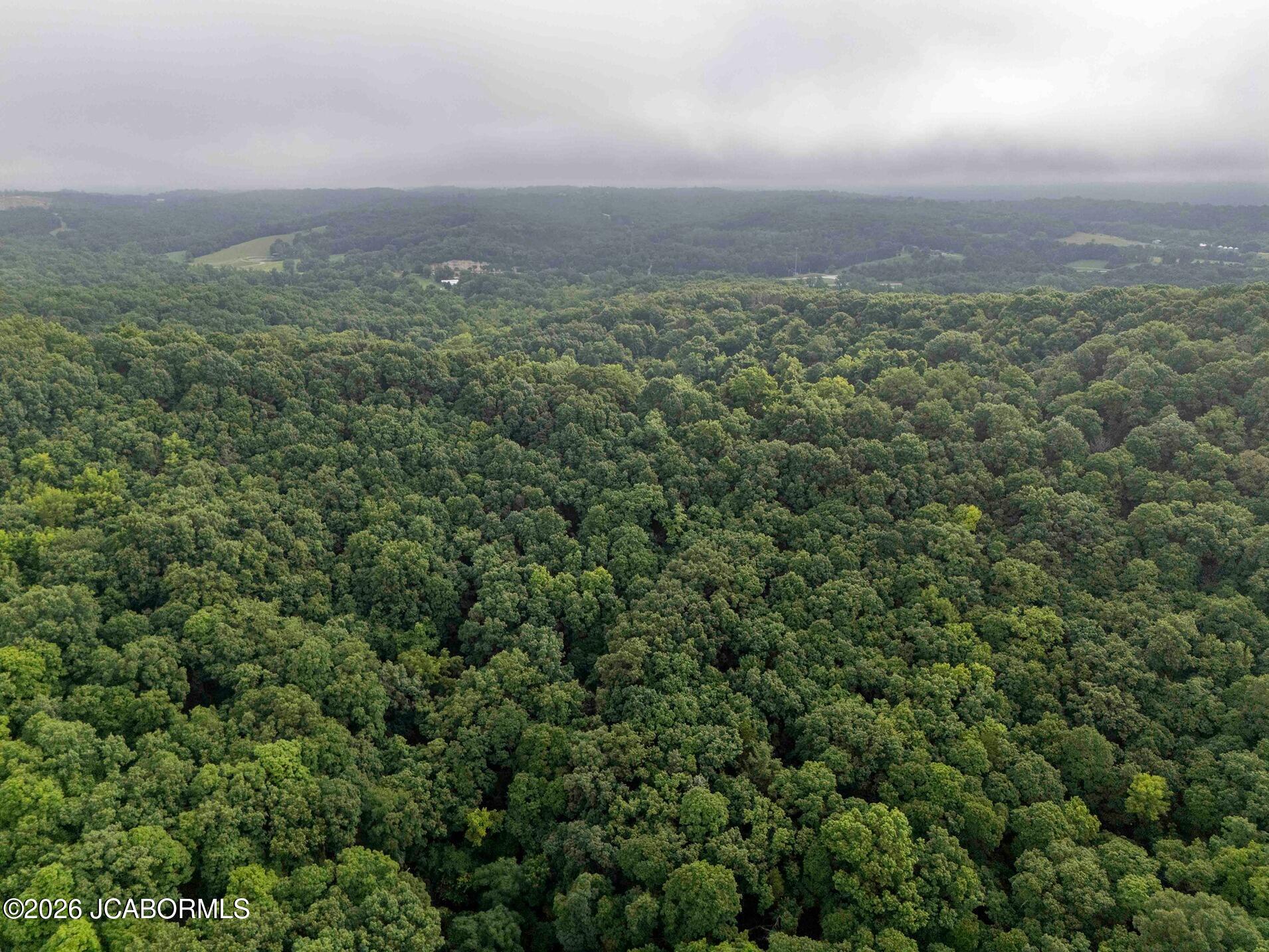Tbd Talley Road Hartsburg, MO 65039 - Photo 71 of 106