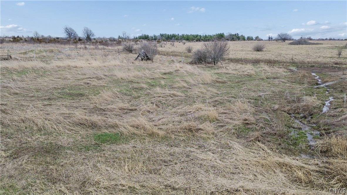 0 Burnt Rock Road North Cape Vincent, NY 13618 - Photo 13 of 17