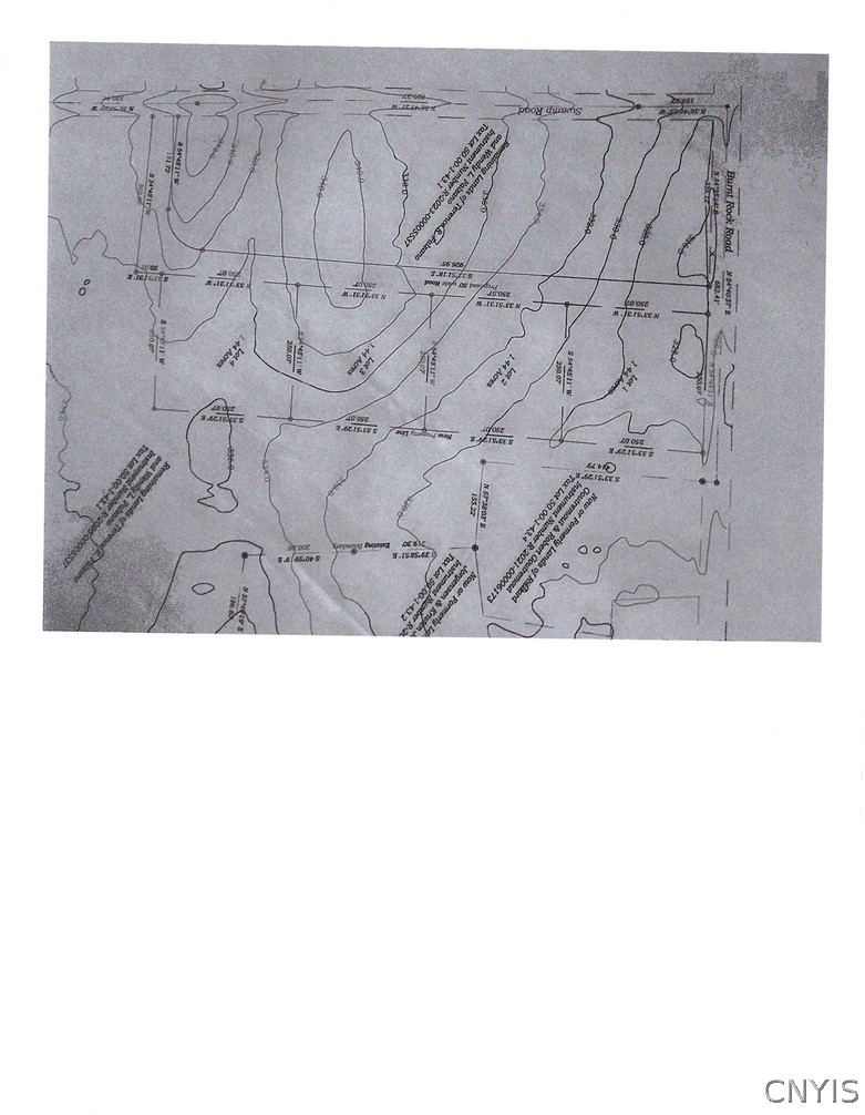 0 Burnt Rock Road North Cape Vincent, NY 13618 - Photo 16 of 17