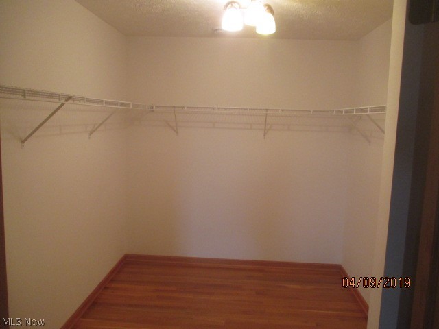 37065 Chestnut Ridge Road Elyria, OH 44035 - Photo 16 of 27 Gallery Image 16