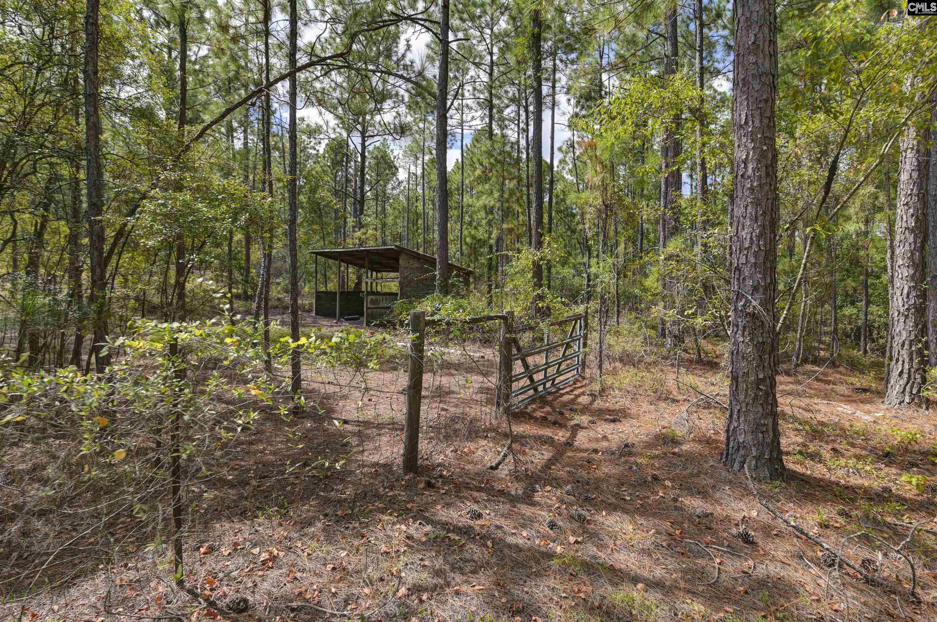 257 Rimrock Road Gilbert, SC 29054 - Photo 39 of 46
