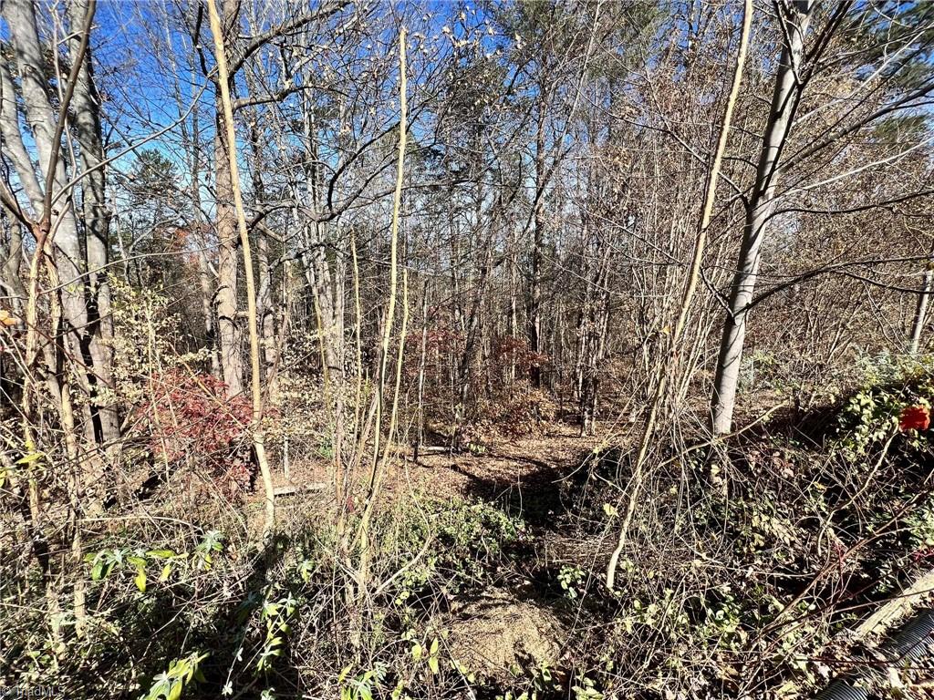 1121 Roy Tuttle Road Pinnacle, NC 27043 - Photo 45 of 49