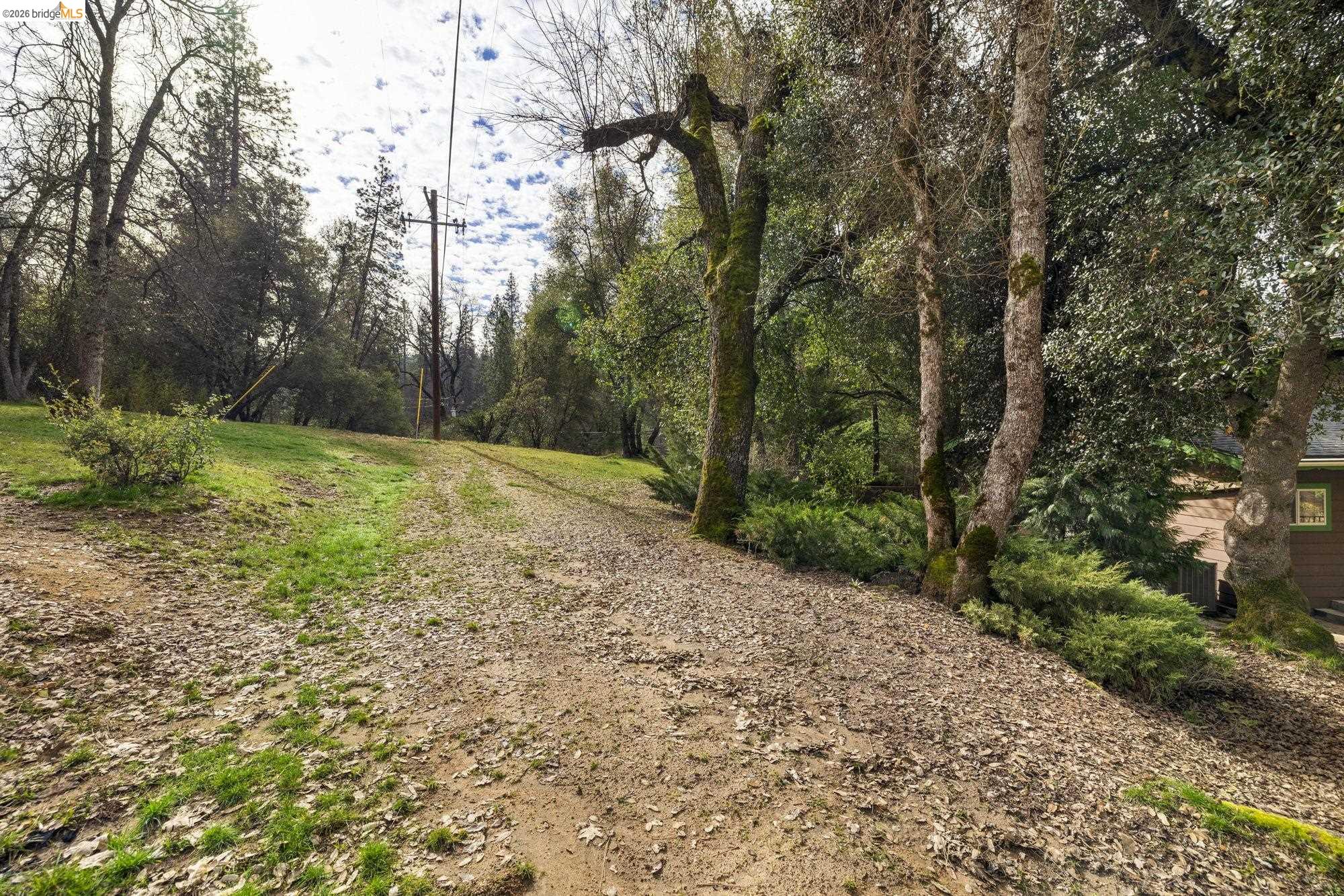 21550 Phoenix Lake Road Sonora, CA 95370 - Photo 40 of 50 a view of a yard with plants and trees