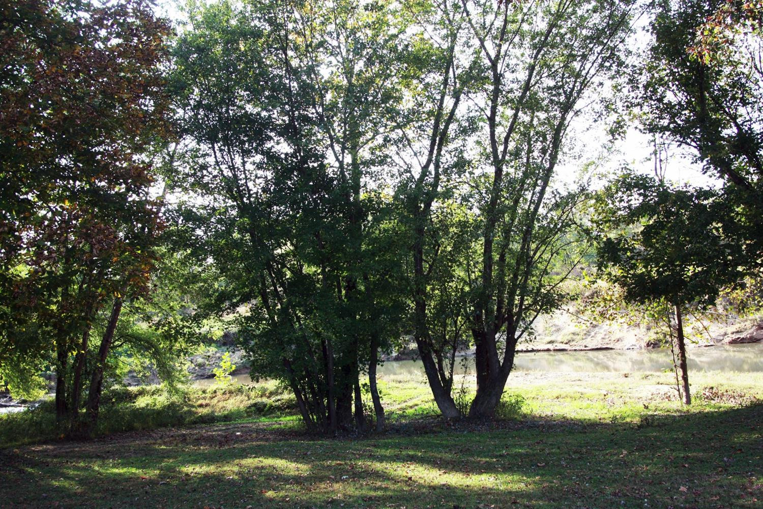 1179 Adams Ridge Road Clay City, KY 40312 - Photo 89 of 96 Photo 89