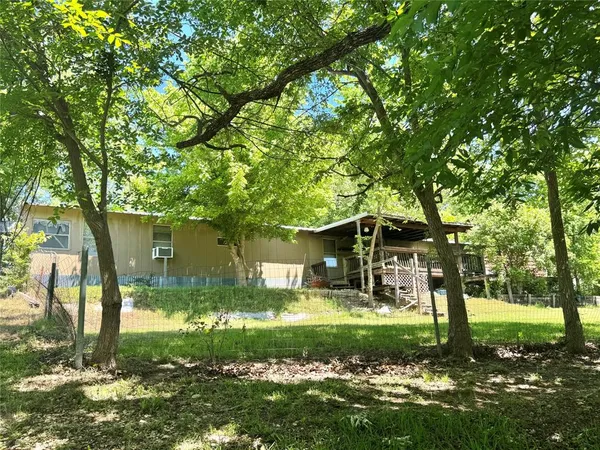 a view of a yard with plants and large trees